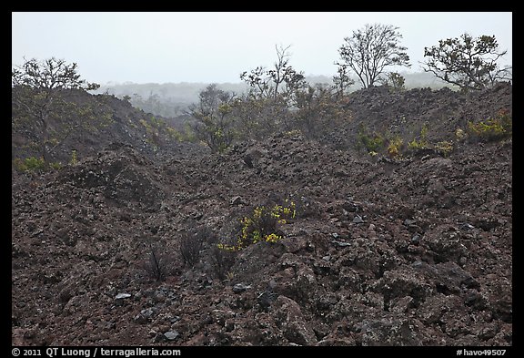 Ke Amoku lava flow. Hawaii Volcanoes National Park (color)