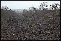 Ke Amoku lava flow. Hawaii Volcanoes National Park, Hawaii, USA.