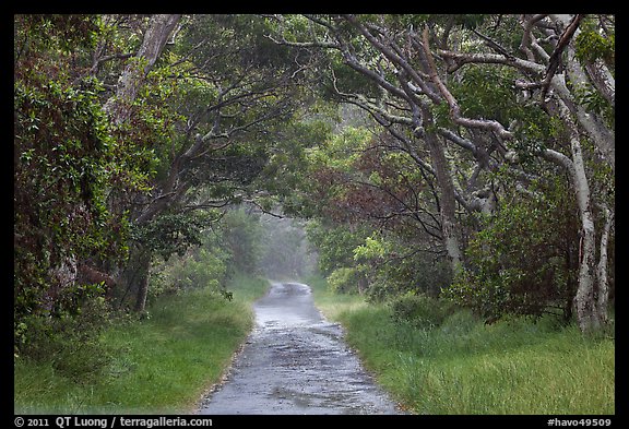 Mauna Load Road. Hawaii Volcanoes National Park, Hawaii, USA.