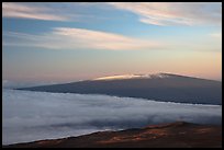 Snowy Mauna Loa above clouds at sunrise. Hawaii Volcanoes National Park, Hawaii, USA. (color)