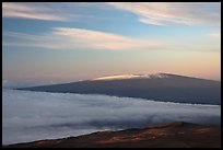 Snowy Mauna Loa above clouds at sunrise. Hawaii Volcanoes National Park, Hawaii, USA.