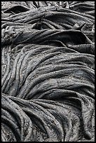 Silvery surface of recent pahoehoe lava. Hawaii Volcanoes National Park, Hawaii, USA. (color)