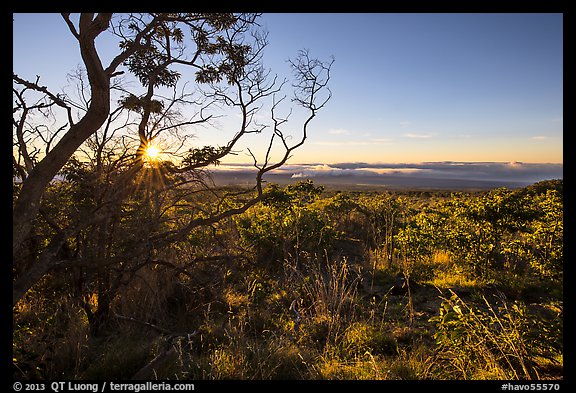 Sunrise from Mauna Loa overlook. Hawaii Volcanoes National Park, Hawaii, USA.