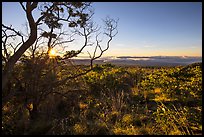 Sunrise from Mauna Loa overlook. Hawaii Volcanoes National Park ( color)