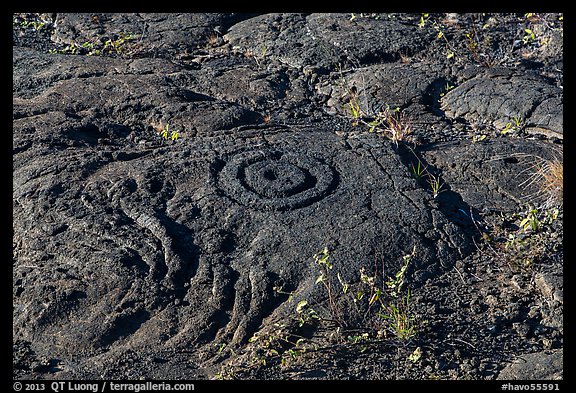 Petroglyph with motif of concentric circles. Hawaii Volcanoes National Park (color)