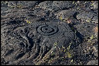 Petroglyph with motif of concentric circles. Hawaii Volcanoes National Park, Hawaii, USA. (color)