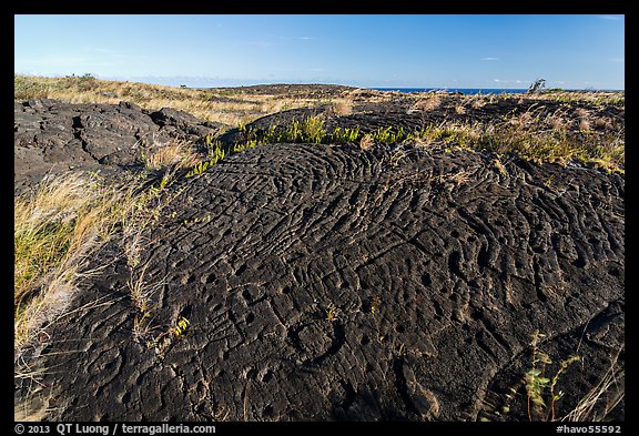 Puu Loa petroglyphs. Hawaii Volcanoes National Park (color)