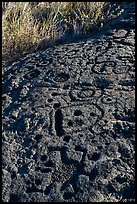 Hardened lava with panel of pecked images. Hawaii Volcanoes National Park, Hawaii, USA. (color)