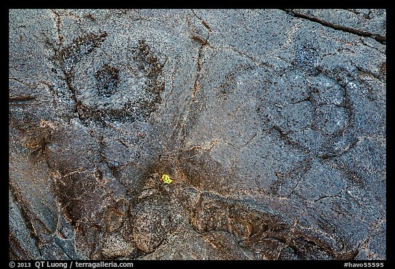 Petroglyph detail with human figure and sea turtle. Hawaii Volcanoes National Park (color)