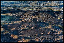 Petroglyphs created on the lava substrate. Hawaii Volcanoes National Park, Hawaii, USA. (color)