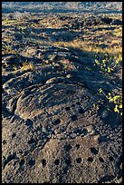 Petroglyph with motif of cupules and holes. Hawaii Volcanoes National Park, Hawaii, USA. (color)