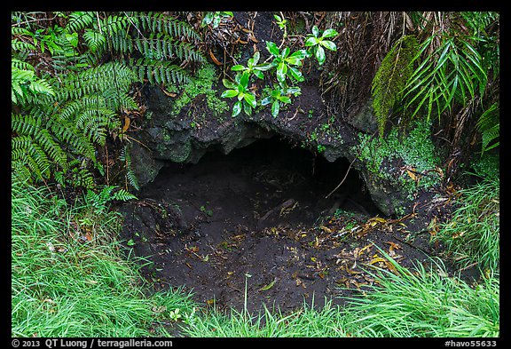 Entrance of lava tube, Kipuka Puaulu. Hawaii Volcanoes National Park (color)