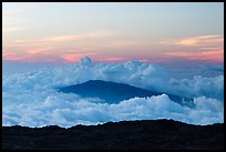 Puu Waawaa summit emerging from sea of clouds at sunset. Hawaii Volcanoes National Park, Hawaii, USA. (color)