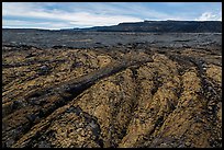 Olivine-rich lava and Mokuaweoweo crater, Mauna Loa North Pit. Hawaii Volcanoes National Park ( color)