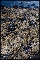 Close-up of green Olivine-rich lava flow. Hawaii Volcanoes National Park ( color)