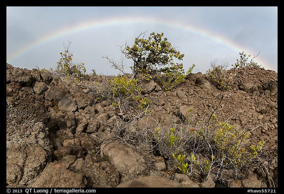 Srubs, lava, and rainbow, Kau desert. Hawaii Volcanoes National Park (color)