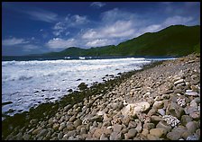 Beached coral heads and Vatia Bay, mid-day, Tutuila Island. National Park of American Samoa (color)