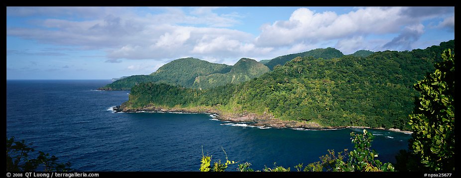 Verdant coasline with tropical vegetation, Tutuila Island. National Park of American Samoa (color)