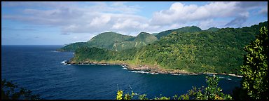 Verdant coasline with tropical vegetation, Tutuila Island. National Park of American Samoa (Panoramic color)