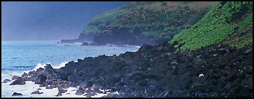 Coastline of Volcanic boulders, Tau Island. National Park of American Samoa (Panoramic color)