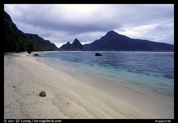 Fallen coconut on South Beach, Ofu Island. National Park of American Samoa