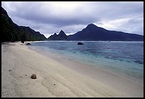 Fallen coconut on South Beach, Ofu Island. National Park of American Samoa ( color)