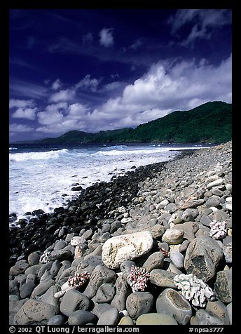 Coral heads on beach and dark hills, Tutuila Island. National Park of American Samoa