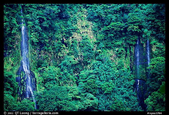 Ephemeral waterfalls in Amalau Valley, Tutuila Island. National Park of American Samoa (color)