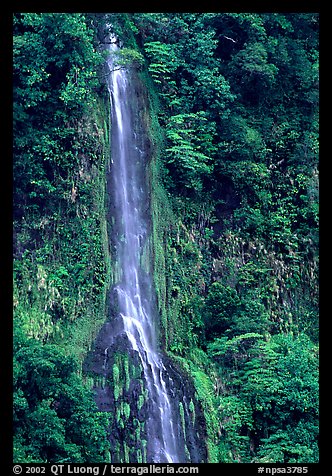 Ephemeral waterfall formed after the rain, Tutuila Island. National Park of American Samoa (color)