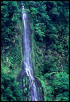 Ephemeral waterfall formed after the rain, Tutuila Island. National Park of American Samoa (color)