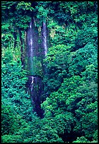 Ephemeral waterfall in Amalau Valley, Tutuila Island. National Park of American Samoa ( color)