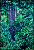 Ephemeral waterfall in Amalau Valley, Tutuila Island. National Park of American Samoa