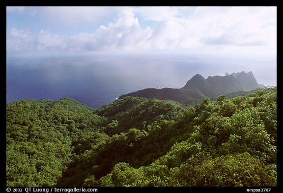 Tropical forest and Ocean from Mont Alava, Tutuila Island. National Park of American Samoa (color)