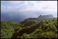 Tropical forest and Ocean from Mont Alava, Tutuila Island. National Park of American Samoa (color)