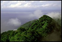 Forested ridges and Pacific Ocean from Mont Alava, Tutuila Island. National Park of American Samoa