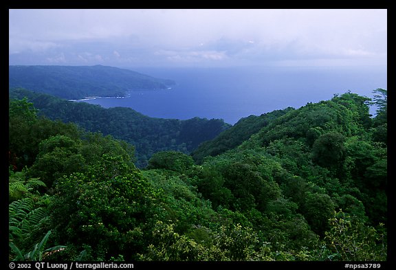 View from Mont Alava, Tutuila Island. National Park of American Samoa (color)