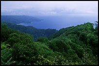 View from Mont Alava, Tutuila Island. National Park of American Samoa ( color)