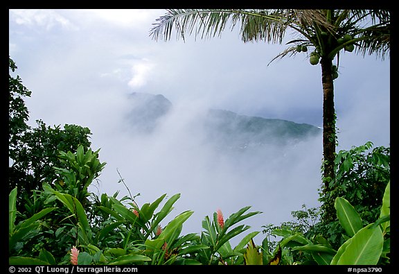 Clearing clouds from Mont Alava, Tutuila Island. National Park of American Samoa