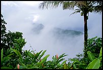 Clearing clouds from Mont Alava, Tutuila Island. National Park of American Samoa