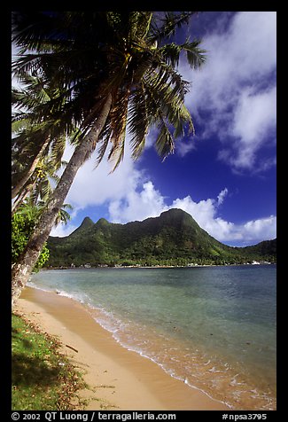 Palm-fringed beach in Vatia Bay, Tutuila Island. National Park of American Samoa