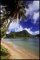 Palm-fringed beach in Vatia Bay, Tutuila Island. National Park of American Samoa