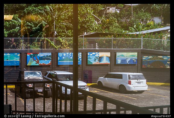 Parking lot window reflexion, Visitor Center. National Park of American Samoa (color)
