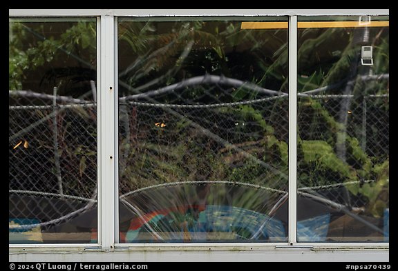 Tropical vegetation window reflexion, Visitor Center. National Park of American Samoa (color)