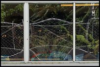 Tropical vegetation window reflexion, Visitor Center. National Park of American Samoa ( color)