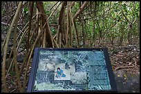 Screwpine interpretive sign, Ofu Island. National Park of American Samoa ( color)