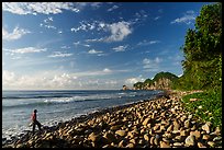 Visitor looking, Tuafanua Beach, Tuitula. National Park of American Samoa ( color)