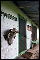 Ofu Ranger Station and Visitor Center door and window. National Park of American Samoa ( color)