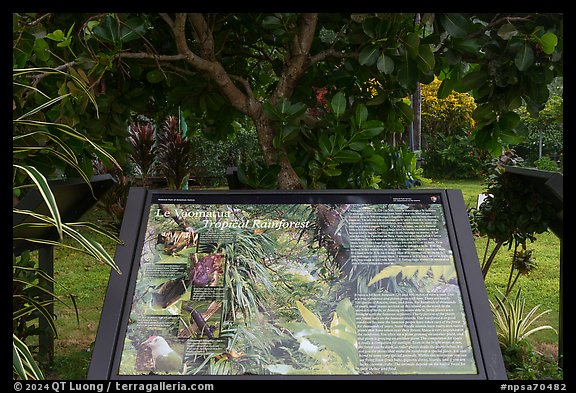 Tropical forest interpretive sign, Ofu Island. National Park of American Samoa (color)