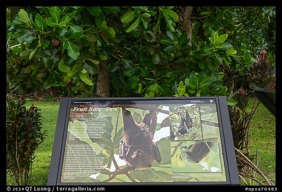 Fruit bats interpretive sign, Ofu Island. National Park of American Samoa (color)