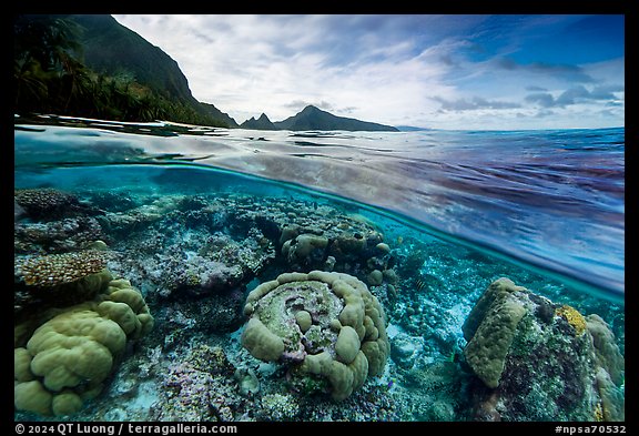 Over-under split view of Ofu Lagoon corals and Ofu mountains (AI-generated). National Park of American Samoa (color)